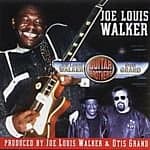 Joe Louis & Otis Grand Walker - Guitar Brothers