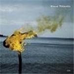 Steve Tibbetts - A Man About A Horse (CD)