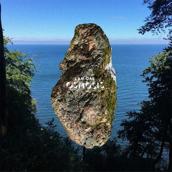 I Am Oak - Osmosis (LP)