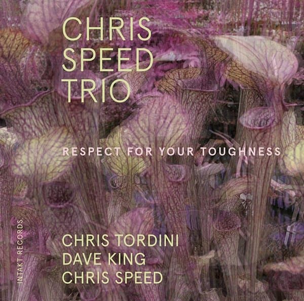 Dave King, Chris Speed, Chris Tordini - Respect For Your Toughness (CD)