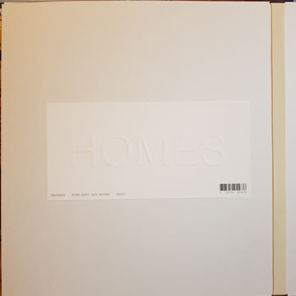 Greyheads - Homes (LP) (Limited Edition)