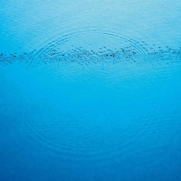Caribou - Suddenly (LP)