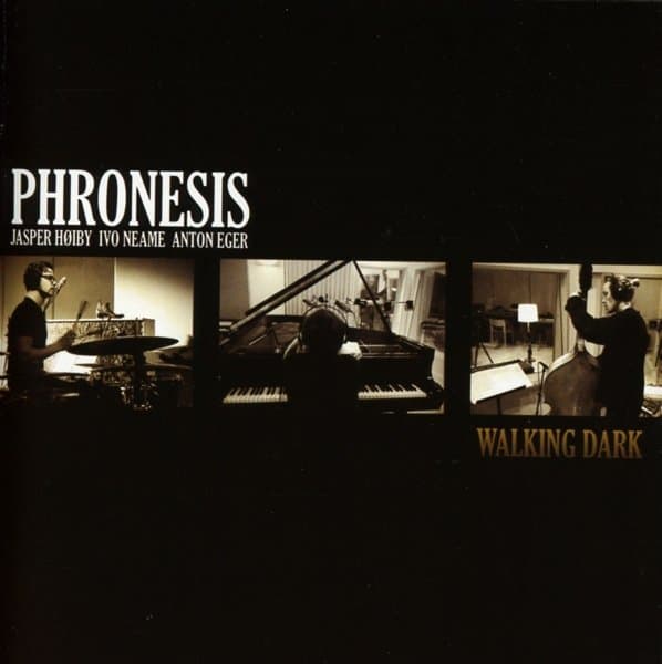 Phronesis - Walking Dark (CD)