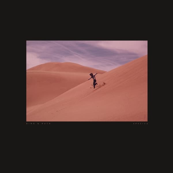 Bing & Ruth - Species (2 LP)