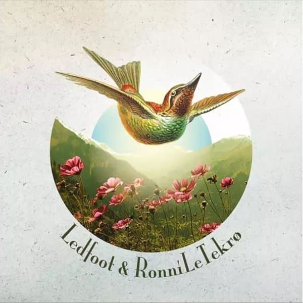 Ledfoot & Ronni Le Tekrø - Ledfoot & Ronni Le Tekrø (CD)