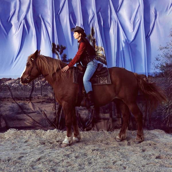 Holy Motors - Horse (LP)