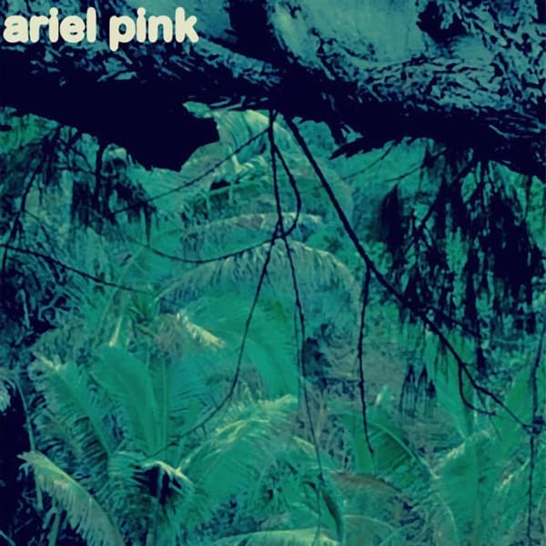 Ariel Pink - Odditties Sodomies Vol.3 (LP)