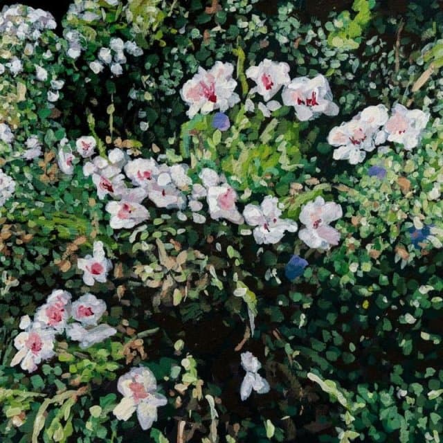 Jess Locke - Don't Ask Yourself Why (LP)