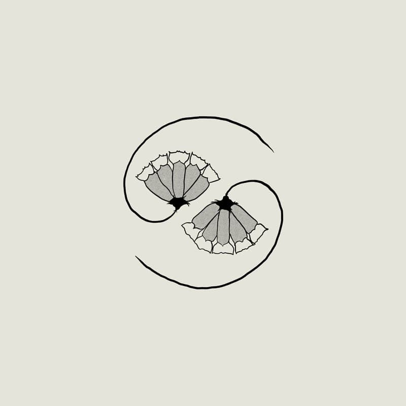 Godspeed You! Black Emperor - G_d's Pee At State's End! (LP | 10" Vinyl)
