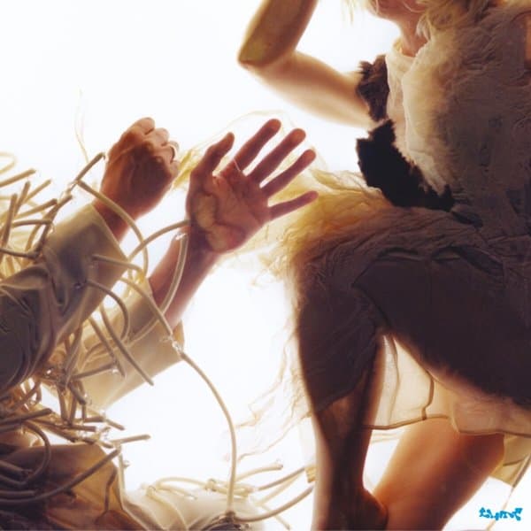 LUMP Feat. Laura Marling & Mike Lindsay - Animal (CD)
