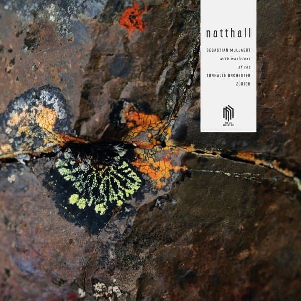 Sebastian Mullaert - Natthall (2 LP)