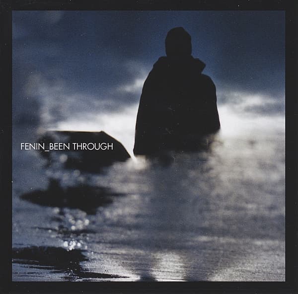 Fenin - Been Through