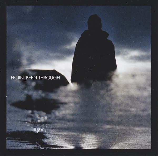 Fenin - Been Through