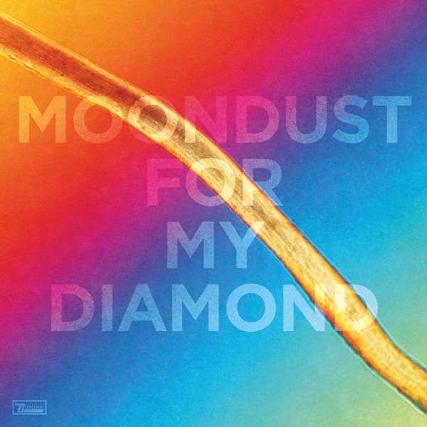 Hayden Thorpe - Moondust For My Diamond (LP) (Limited Edition)