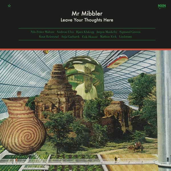 Mr. Mibbler - Leave Your Thoughts Here (LP)