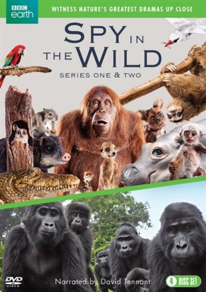 SPY IN THE WILD SERIES 12 DVD (Import)