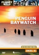Penguin Baywatch