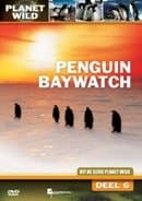 Penguin Baywatch