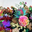 Darkstar - News From Nowhere (CD)