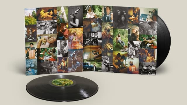 Big Thief - Dragon New Warm Mountain I Believe In You (2 LP)