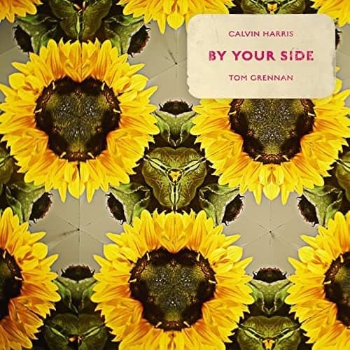 Calvin Harris Ft. Tom Grennan - By Your Side (LP) (Picture Disc)