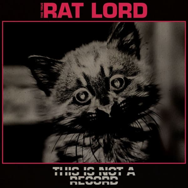Rat Lord - This Is Not a Record (LP) (Coloured Vinyl)