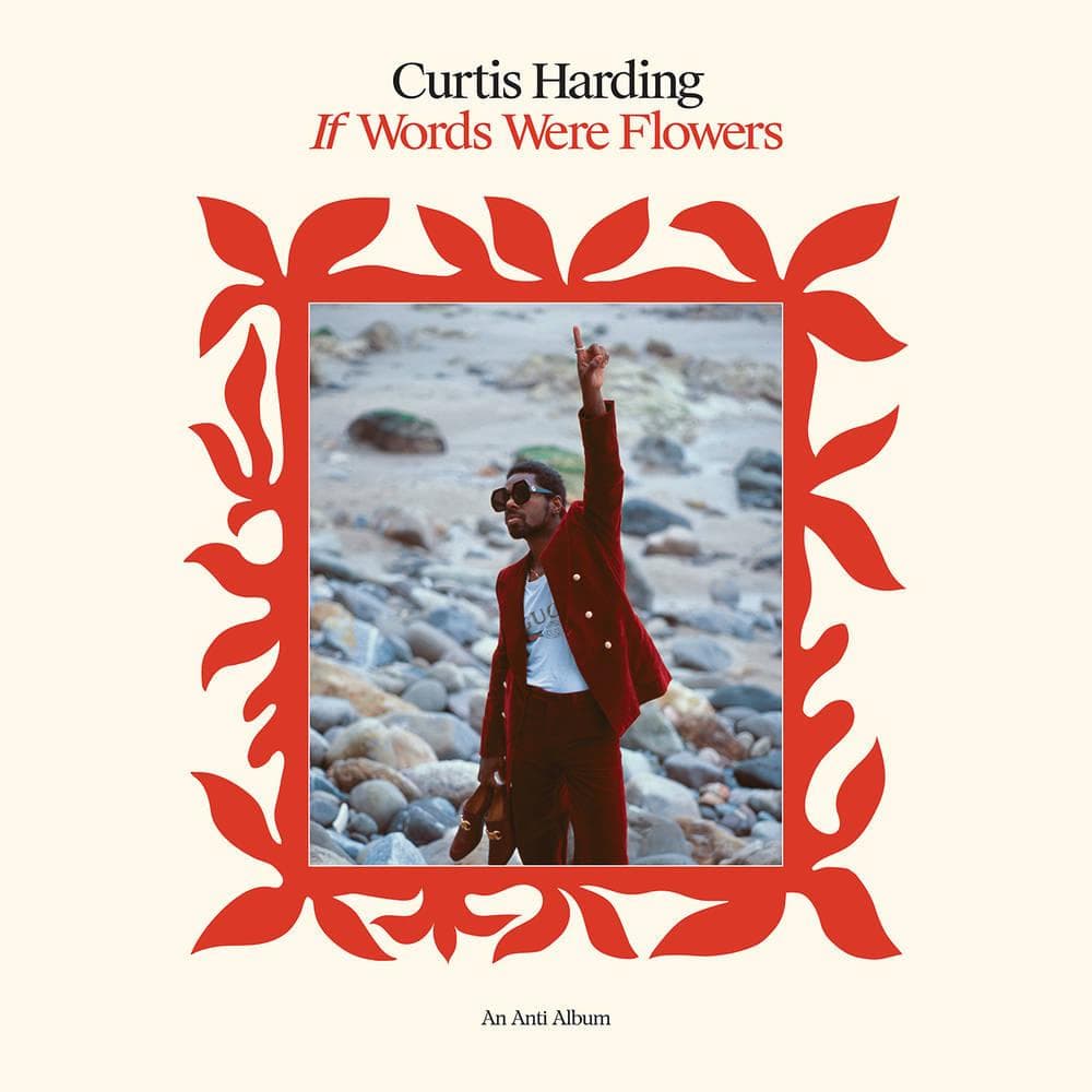 HARDING, CURTIS - If Words Were Flowers (strawberry Shortcake Splash Vinyl)