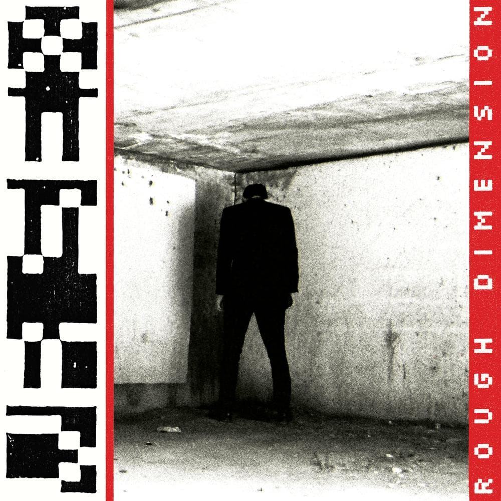 VR Sex - Rough Dimension (LP) (Coloured Vinyl) (Limited Edition)