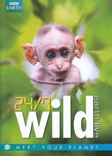 24/7 wild (DVD)