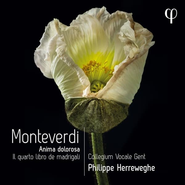 Collegium Vocale Gent, Philippe Herreweghe - Monteverdi: Anima Dolorosa - Il Quarto Libro De Madrigali (CD)