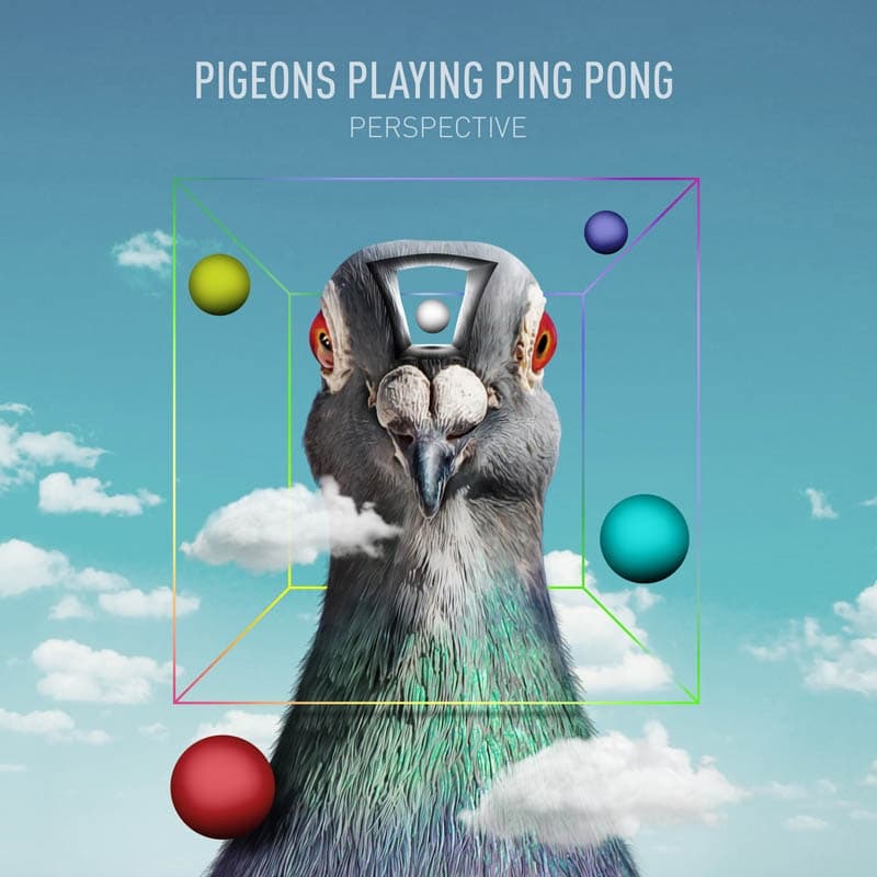 Pigeons Playing Ping Pong - Perspective (2 LP)