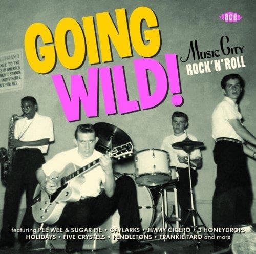Various Artists - Going Wild! Music City Rock ’N' Roll (CD)