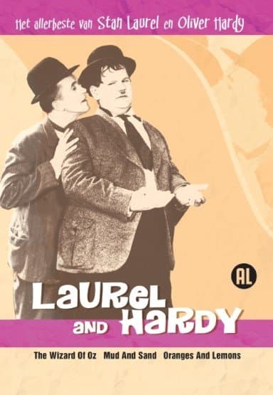 Laurel & Hardy - Het Allerbeste Van 5 (DVD)