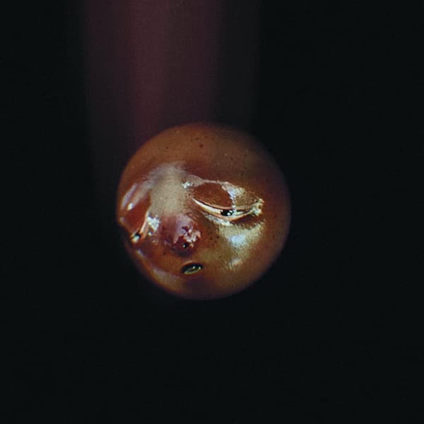 Poolblood - Mole (CD)