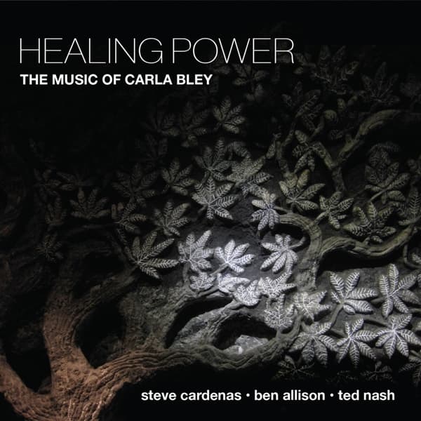 Steve Cardenas, Ben Allison & Ted Nash - Healing Power: The Music Of Carla Bley (CD)