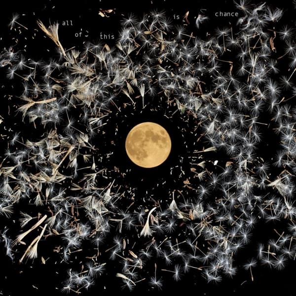 Lisa O'Neill - All Of This Is Chance (LP)