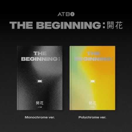 Atbo - Beginning (random Cover)