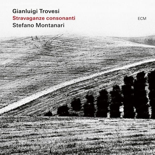 Gianluigi Trovesi, Stefano Montanari - Stravaganze Consonanti (CD)