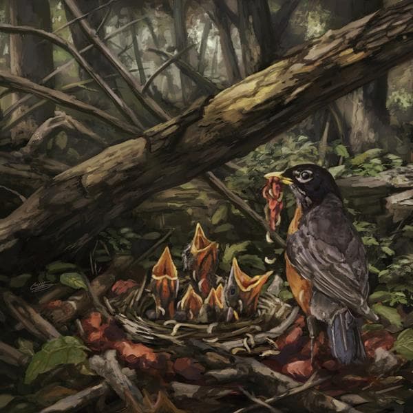 Acacia Strain - Step Into The Light (LP)