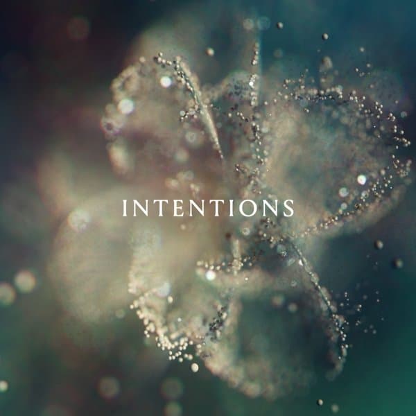 DJ Anna - Intentions (2 LP)