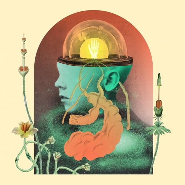 Salami Rose Joe Louis - Akousmatikous (CD)