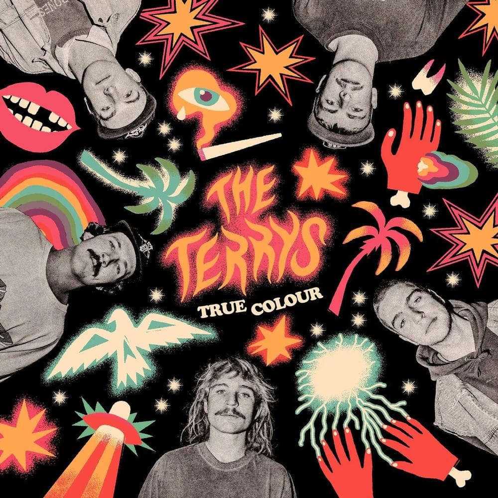 THE TERRYS - True Colour