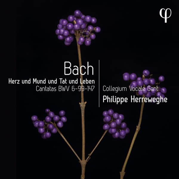 Collegium Vocale Gent, Philippe Herreweghe - J.S. Bach: Herz Und Mund Und Tat Und Leben - Cantatas Bwv 6-9 (CD)