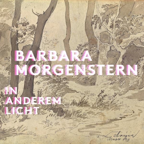 Barbara Morgenstern - In Anderem Licht (2 LP)