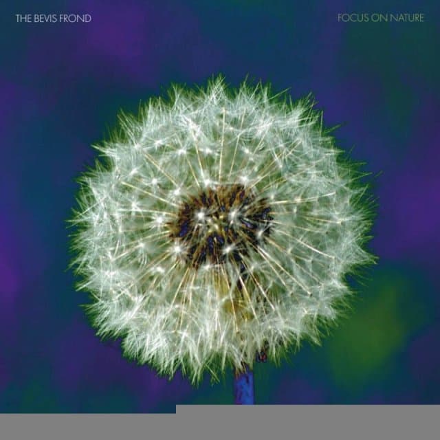 The Bevis Frond - Focus On Nature (CD)