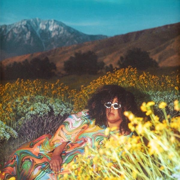 Brittany Howard - What Now (CD)