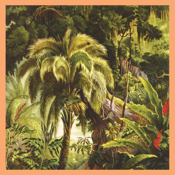 Xiu Xiu - La Forêt (LP) (Coloured Vinyl)