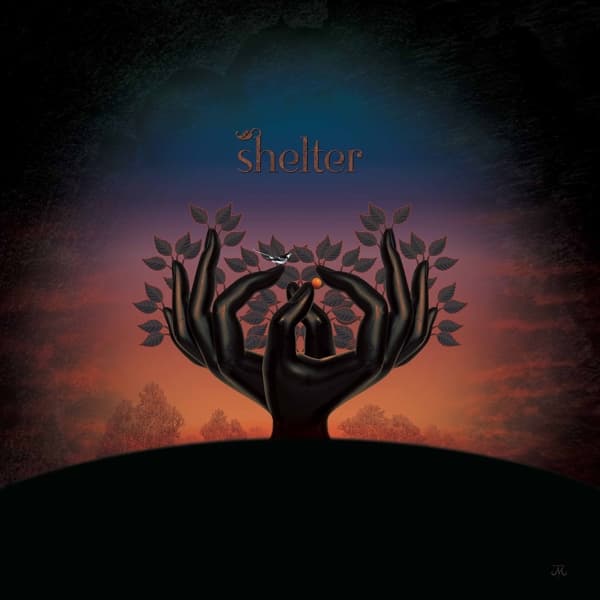 Laughing Stock - Shelter (LP)