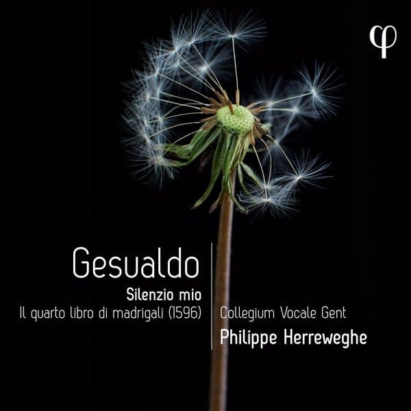 Collegium Vocale Gent, Philippe Herreweghe - Gesualdo: Silenzio Mio. Il Quarto Libro Di Madrigali (CD)