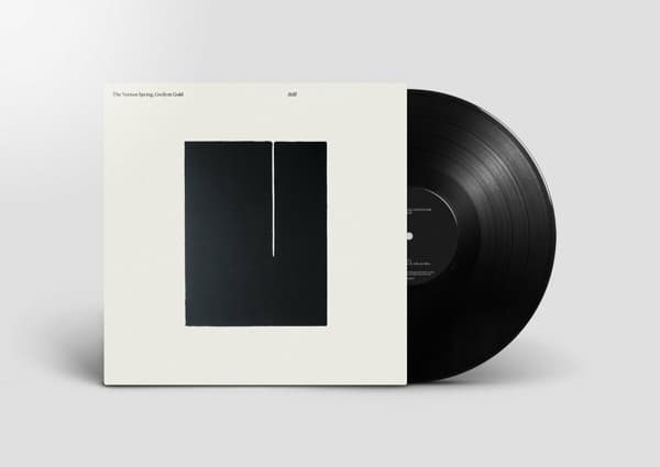 Vernon Spring & Gwilym Gold - Still (LP)